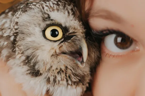 Kasino Lucky Tiger Sokongan